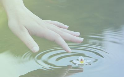 Spreading Your Ripple of Kindness and Gratitude: Healing Your Broken Heart Through Acts of Compassion