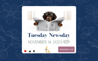 This Weeks Good News – November 14, 2023