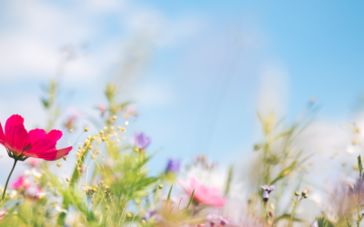 Embracing Spring’s Gifts: Rain, Sun, and Everything In Between